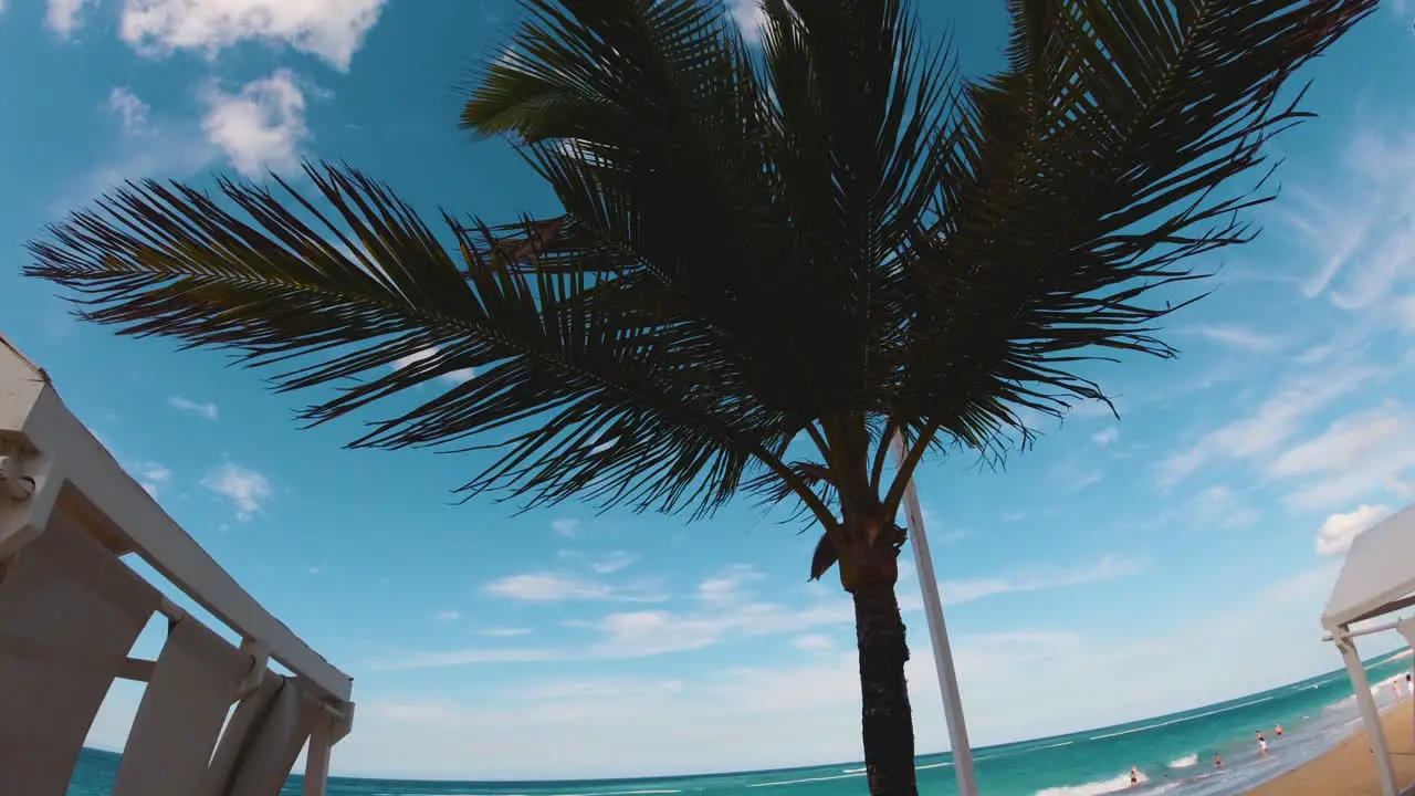 tilt down shot from blue sky with puffy white clouds through palm trees to the turquoise water on the beach of Punta Cana Dominican Hispaniola with white gazebo and beach chairs