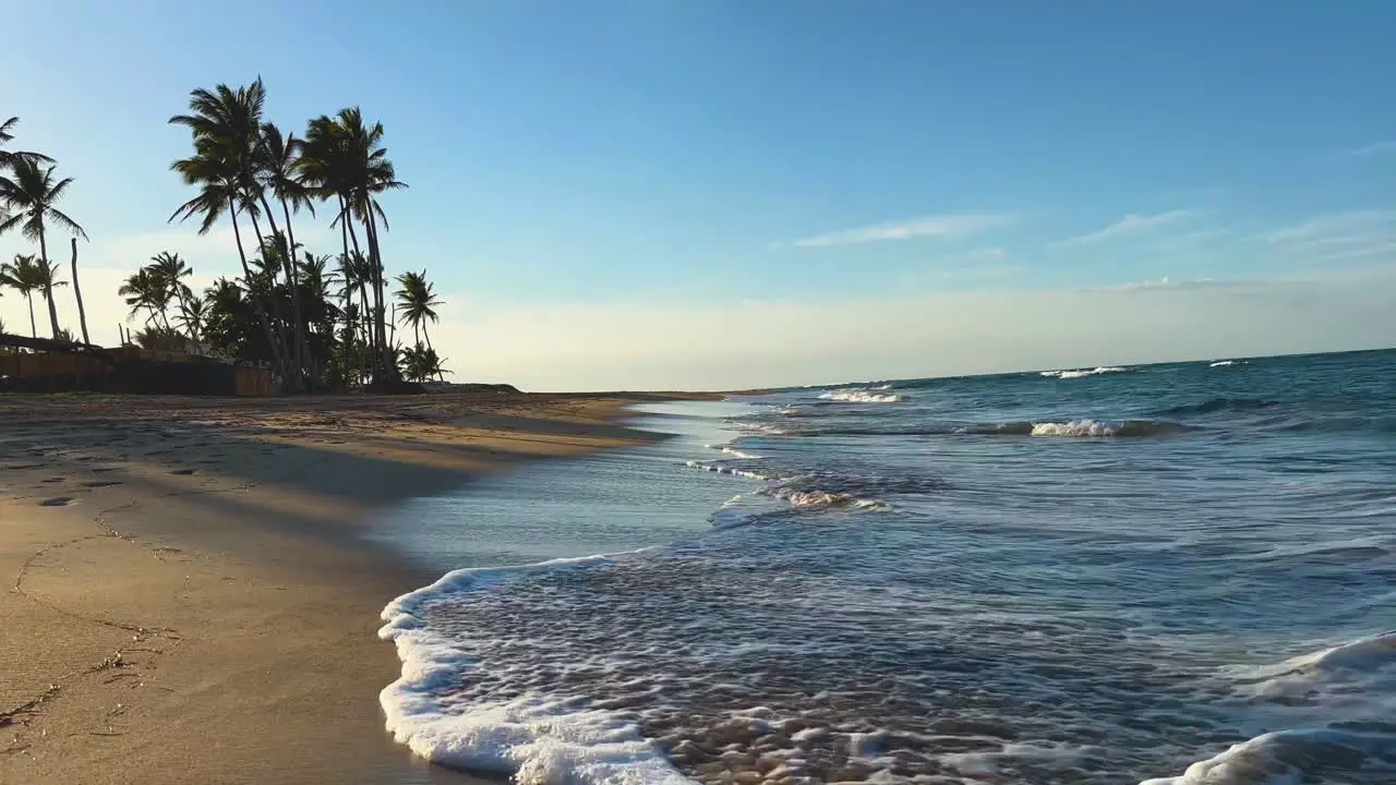 view down the beach at sunset with palm trees on the sandy shore