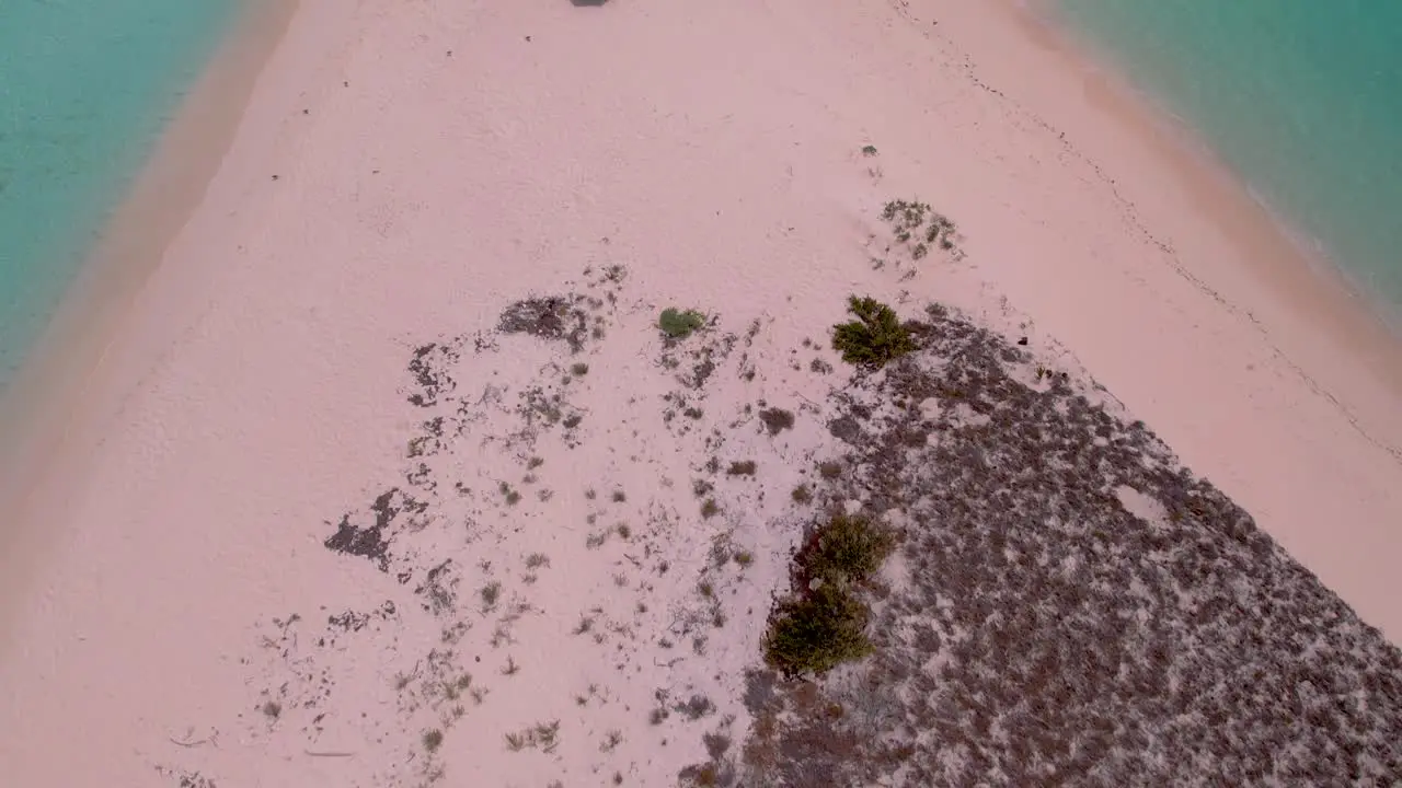 Aerial View of Beach with Blue Tent and Umbrella landscape dream vacation remote island