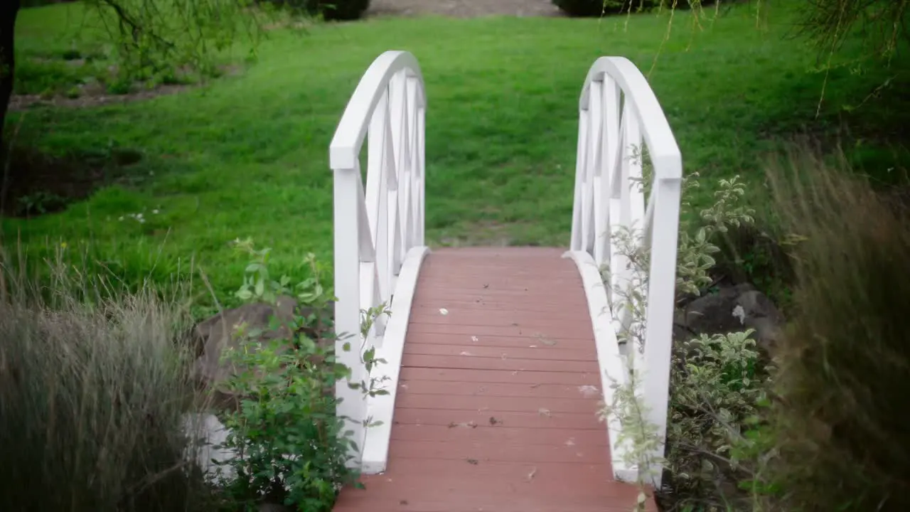 tilting shot of the white bridge romantic in a wineyard