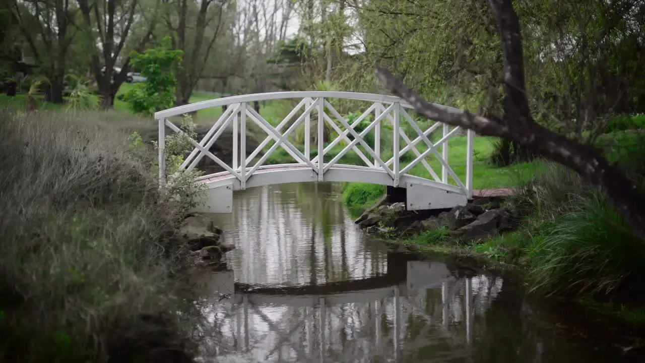 medium shot of a bridge across the stream in the wild