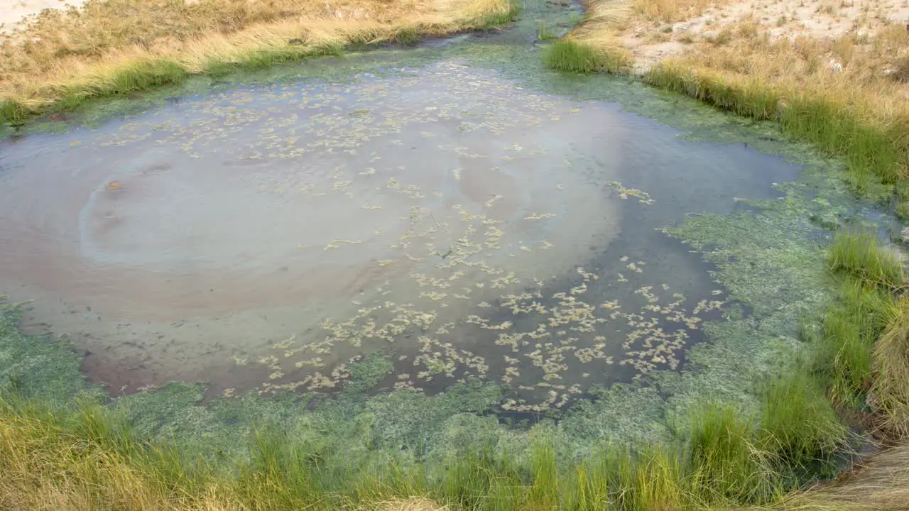 Great Artesian Basin hot spring The Bubbler wide 4k