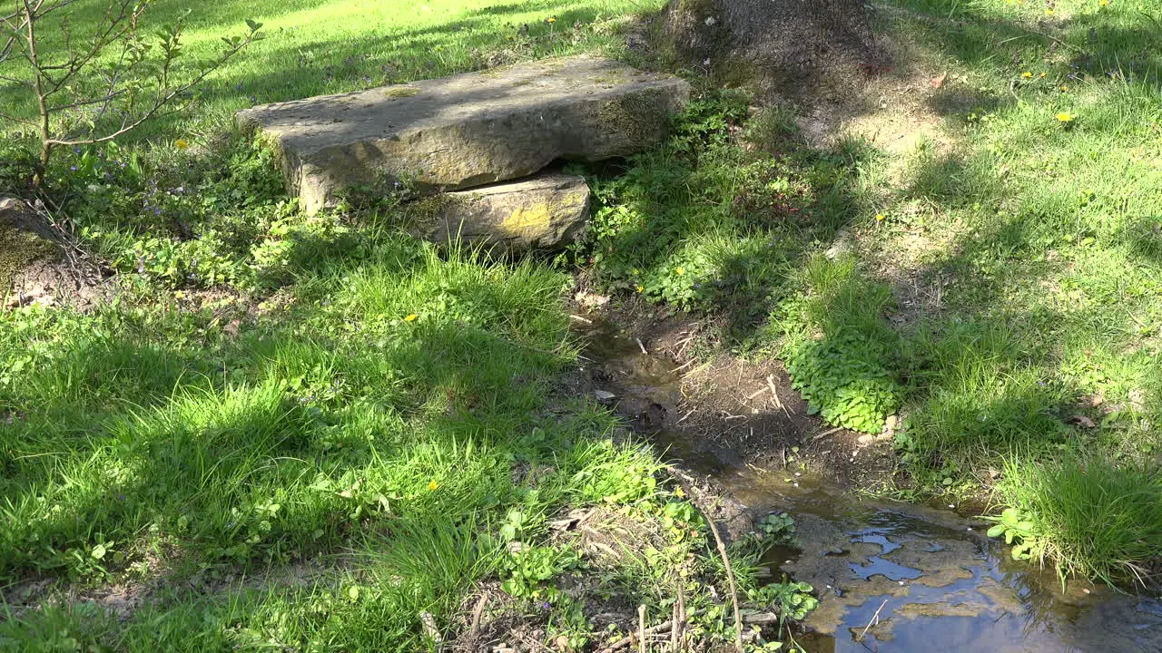 France Water Flowing From Under A Stone