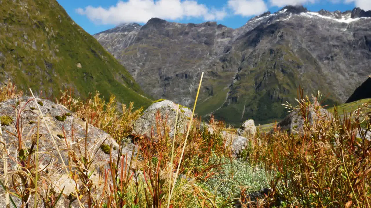 grassy valley in between massive mountains