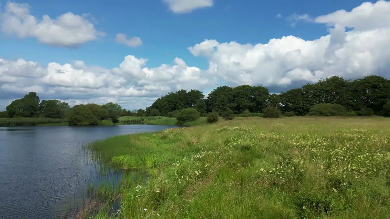 Slow push in over Spring meadow next to a natural pond