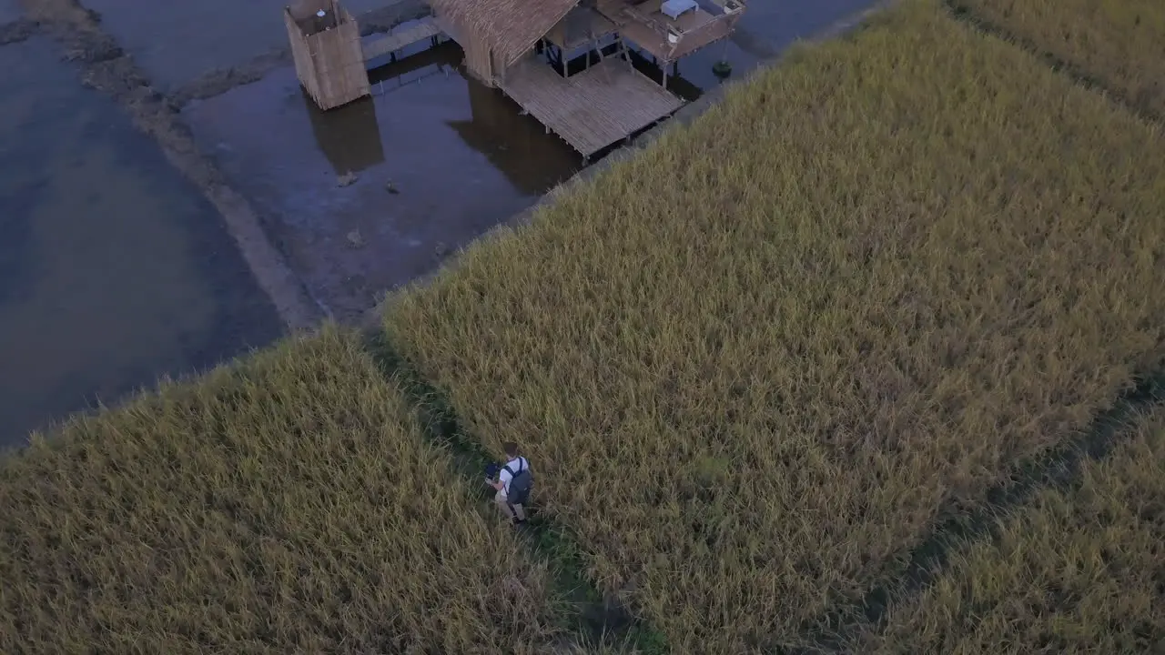 Man exploring Thailand hiking through fields aerial view exploring and adventure