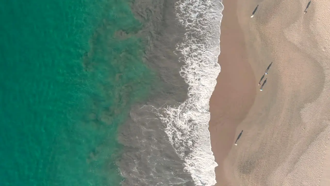 AERIAL PEOPLE WALKING IN THE BEACH