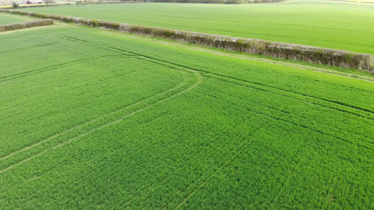 Drone aerial shot rising over lush green farm fields