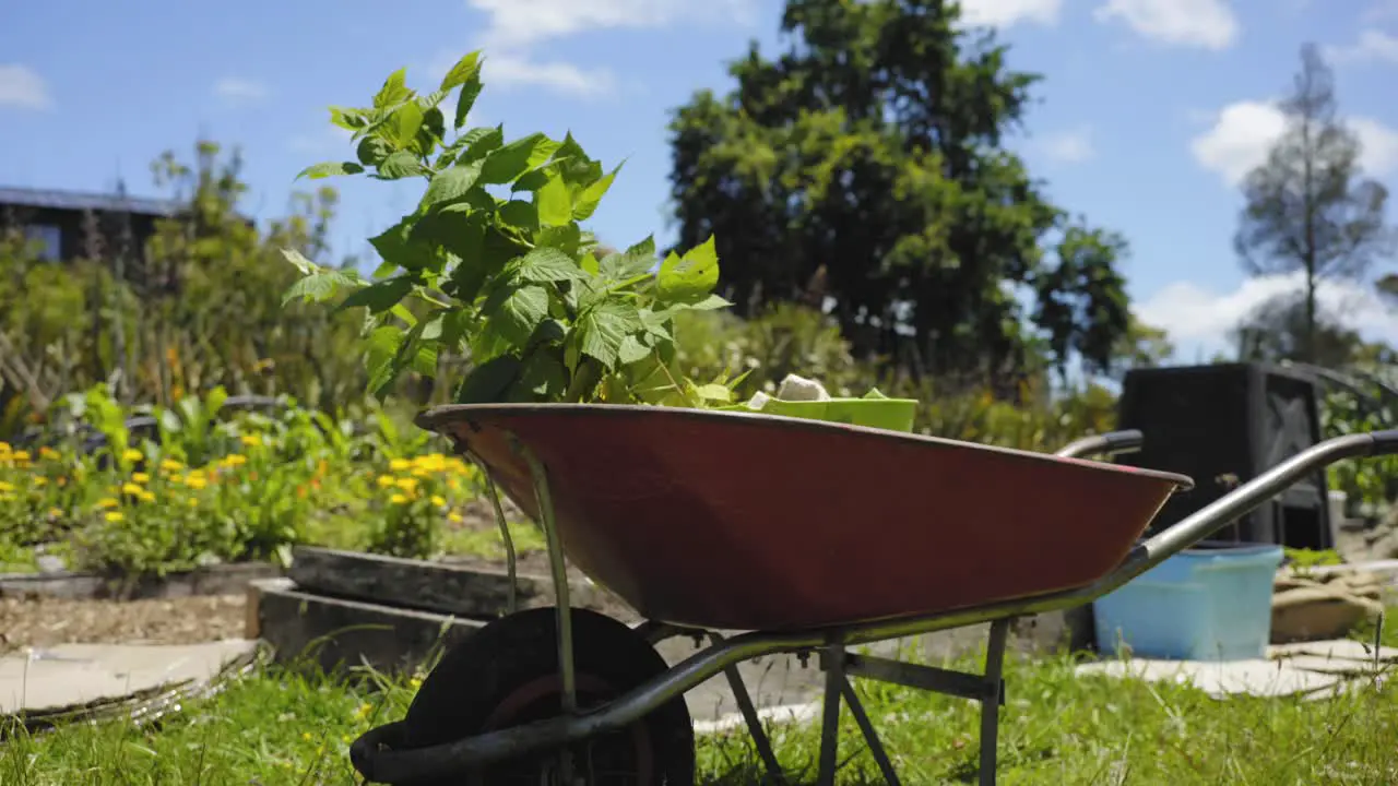 low angle of a trolley with some plants in spring farmland garden