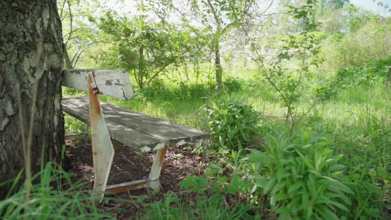 Old bench at romantic spot