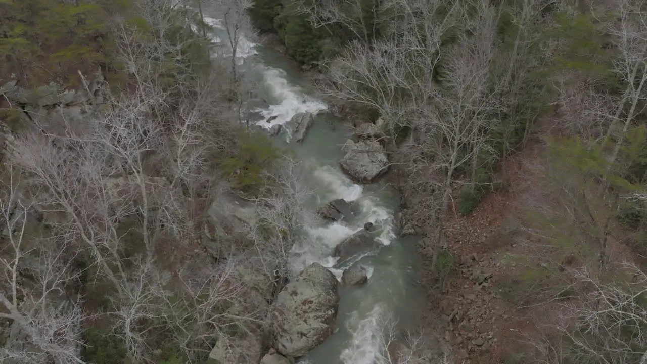 Slow aerial shot of creek and springtime trees