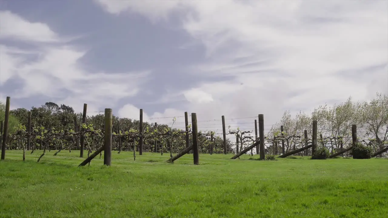 panning shot of the grapery winery