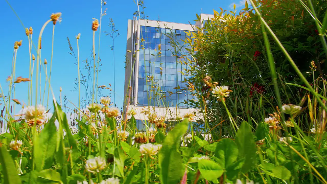 Flowers In Front Of Office Building