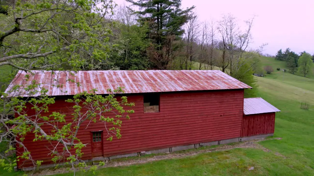 aerial push into red barn on farm near boone and blowing rock nc north carolina through tree branch