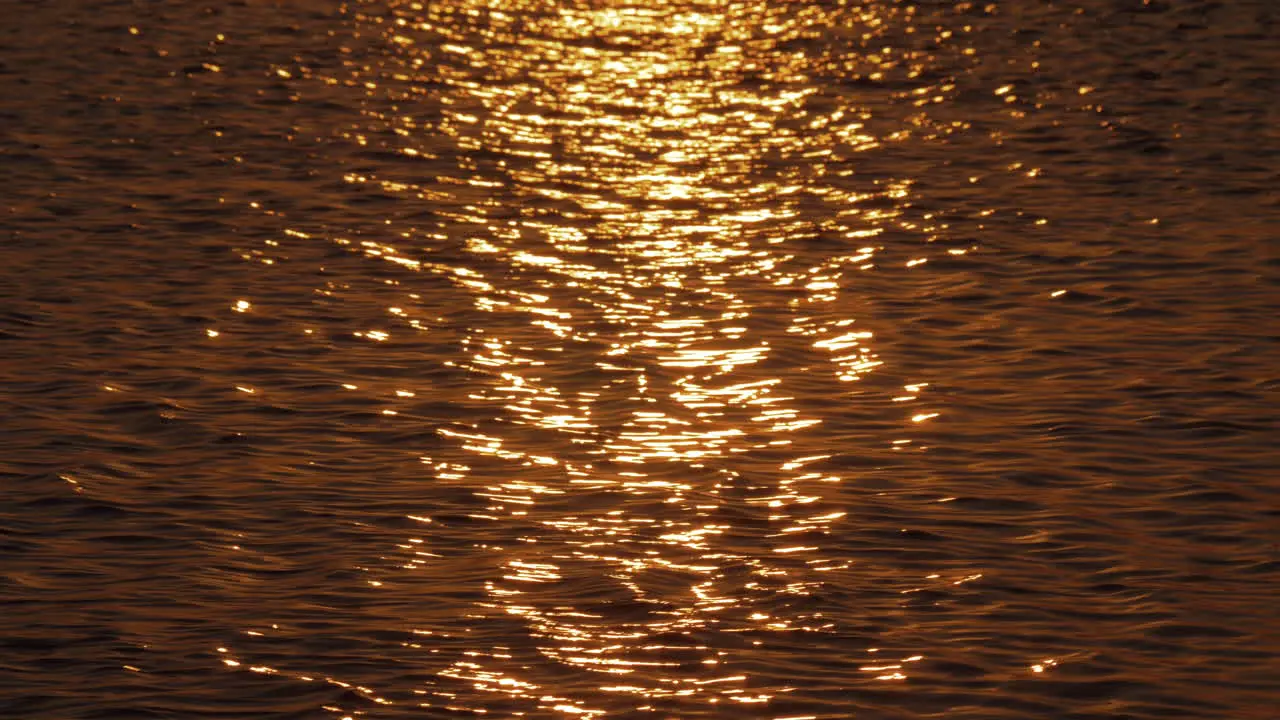 Golden sun path on dark sea water