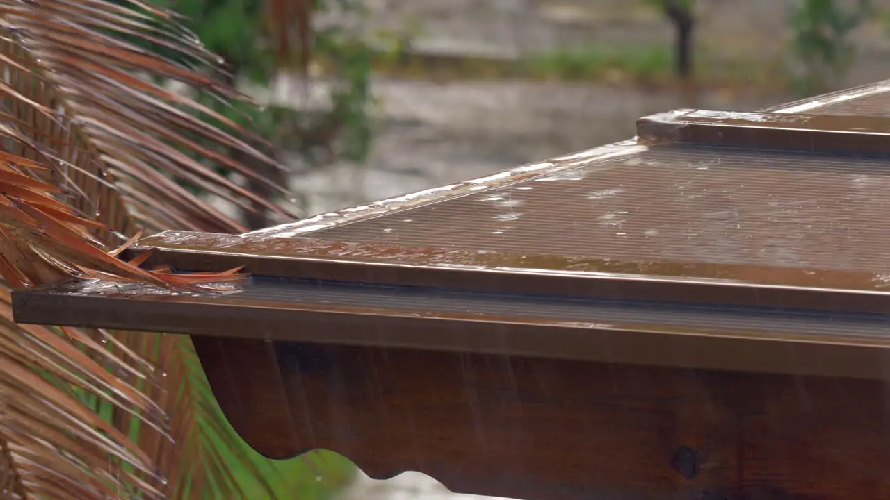 Rain pouring and making roof and palm wet