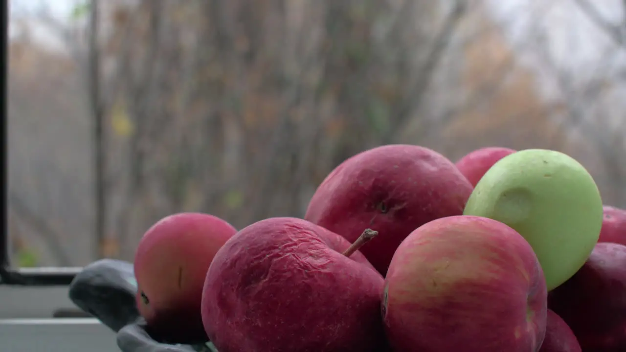 Old apples in bowl and late autumn outside