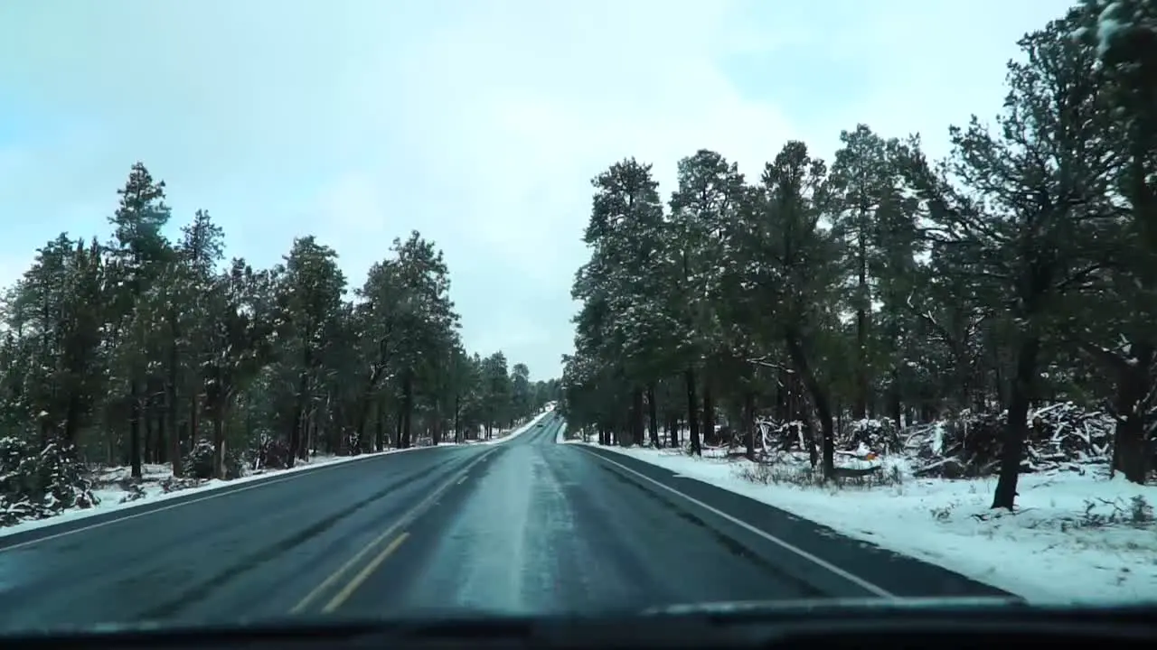 Snowy road with trees on sides Slowmotion