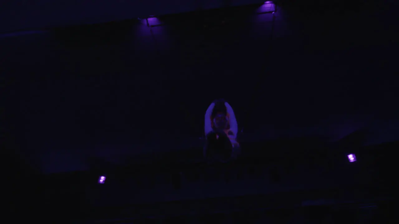 Woman performing aerial acrobatics in the circus