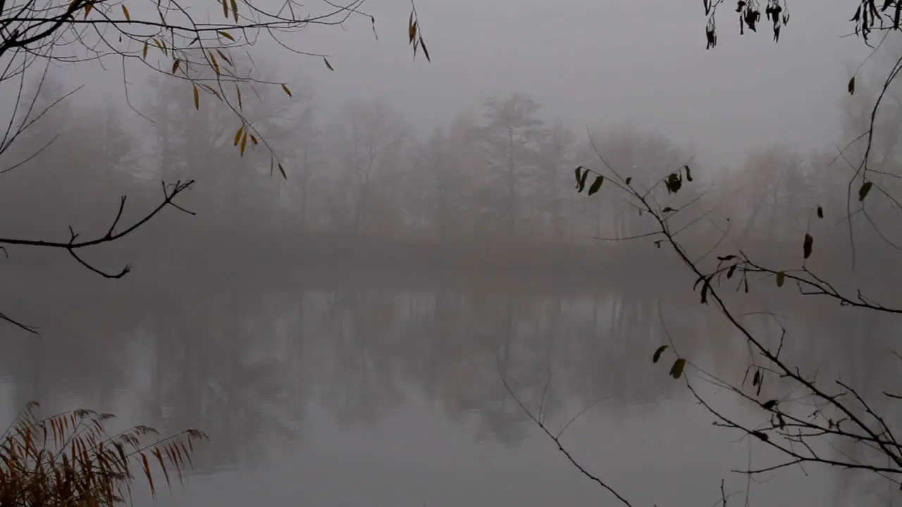 Part of a small lake reflecting the trees from the opposite bank during a foggy misty morning