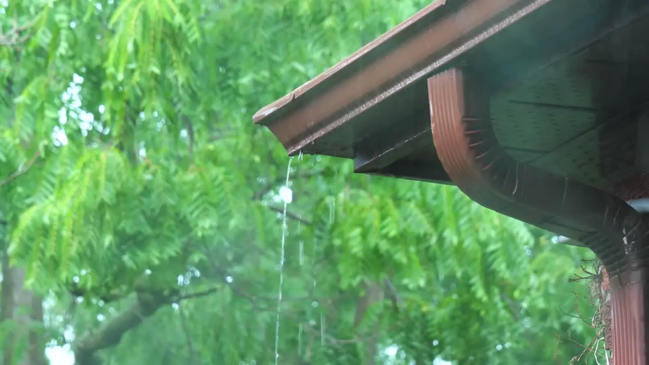 Rainy Storm Water Flowing Off Eavestrough Gutter Downspout