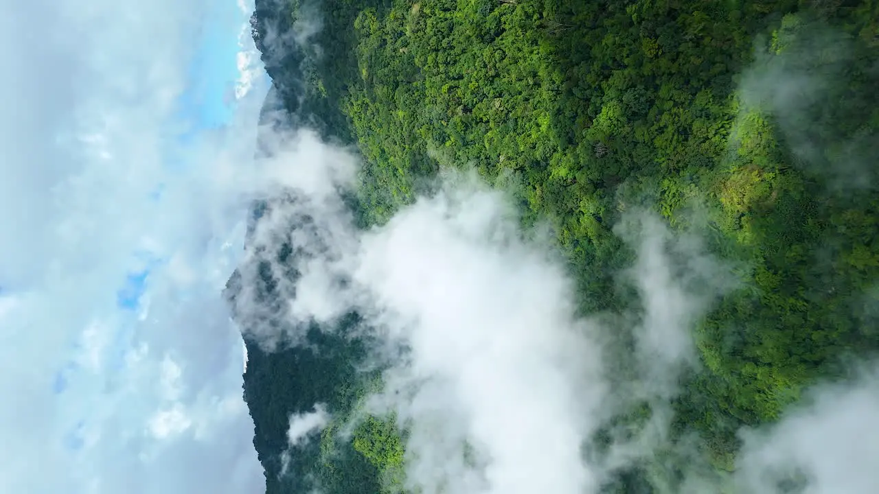 Clouds moving Fast over Lush Green Forest on a Clear Blue Sky Day Rain Accumulating Clouds over Thailand National Park 916 Portrait Vertical 4k Video Social Media