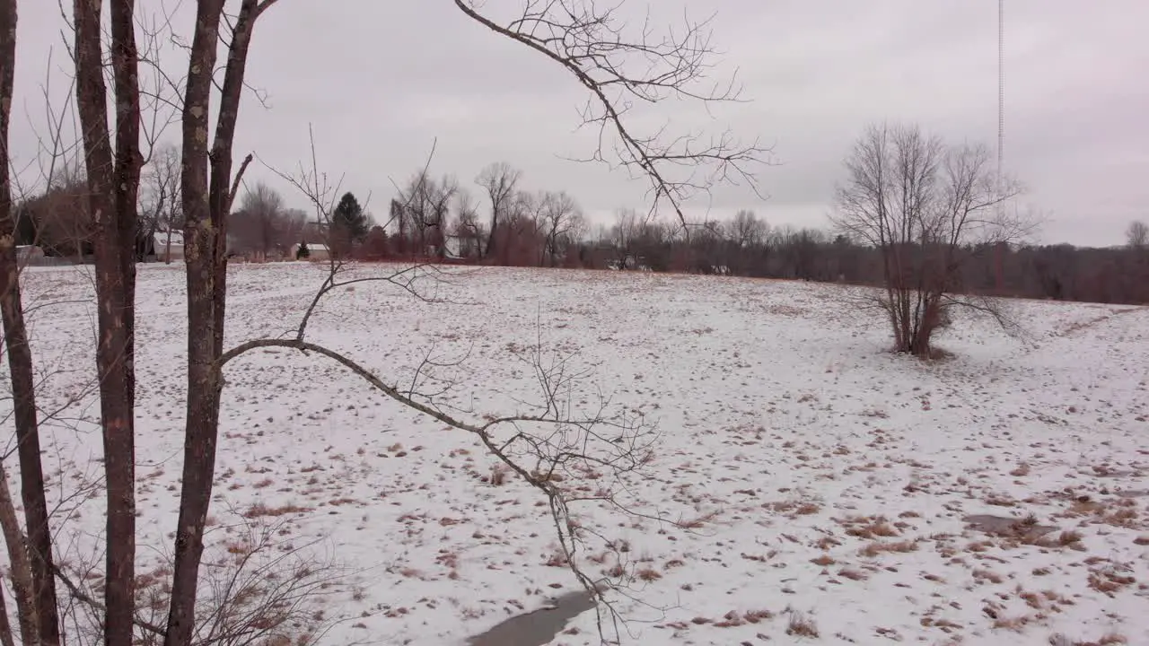 Snowy Tree Flyby with Drone