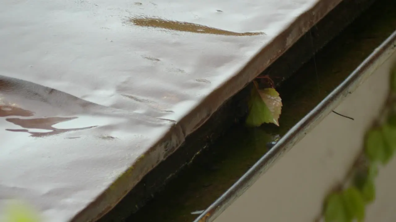 Rainy day with gutter leaf