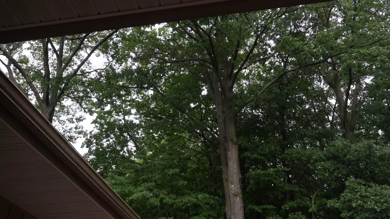 High angle of a roof and forest showing off a light summer rain