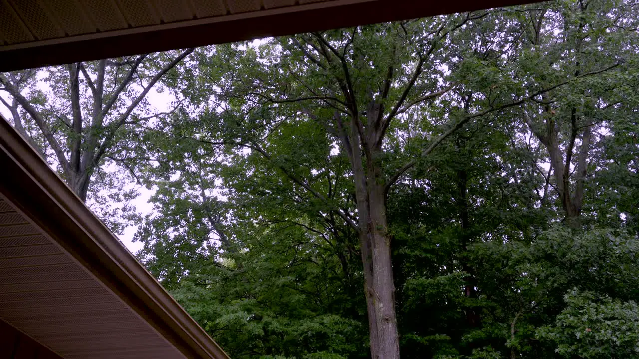 High angle of a roof and forest showing off the a light evening summer rain Gorgeous violet sky