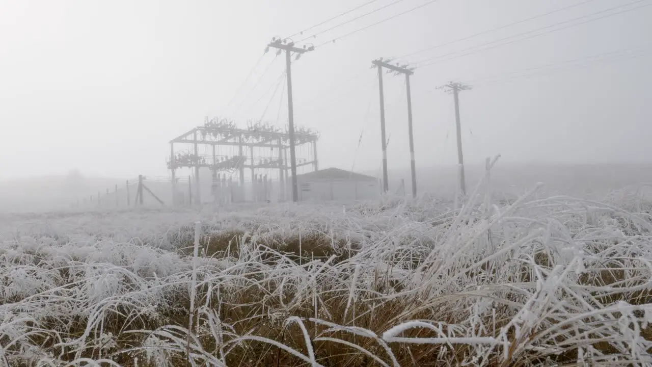 Hoar frost on grass in front of power station in heavy fog