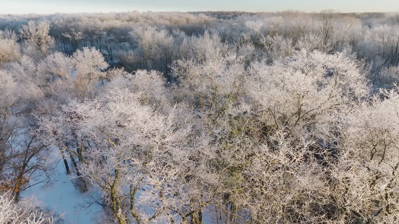 Drone footage captures the serene beauty of a snow-covered Midwest forest following a substantial winter storm