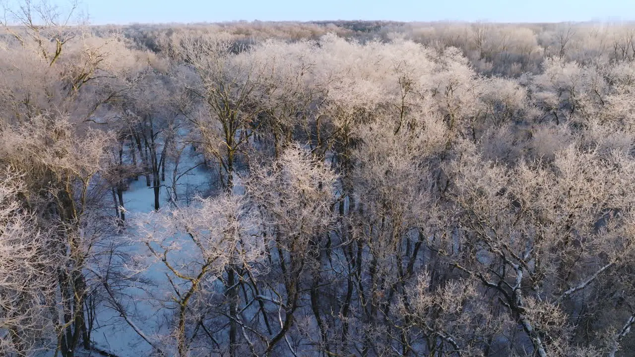 Winter's aftermath unfolds as a drone captures a Midwest forest transformed into a snowy haven after a significant blizzard