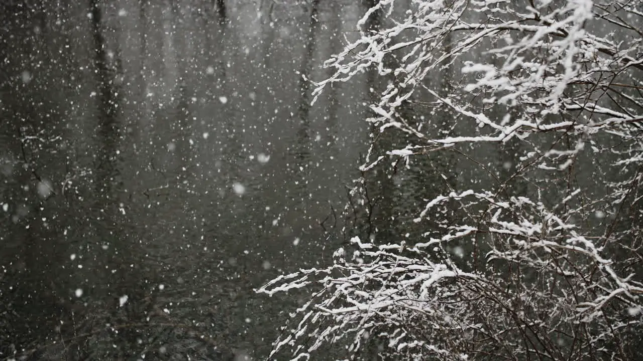 Pan into wintery scene with snow falling in river