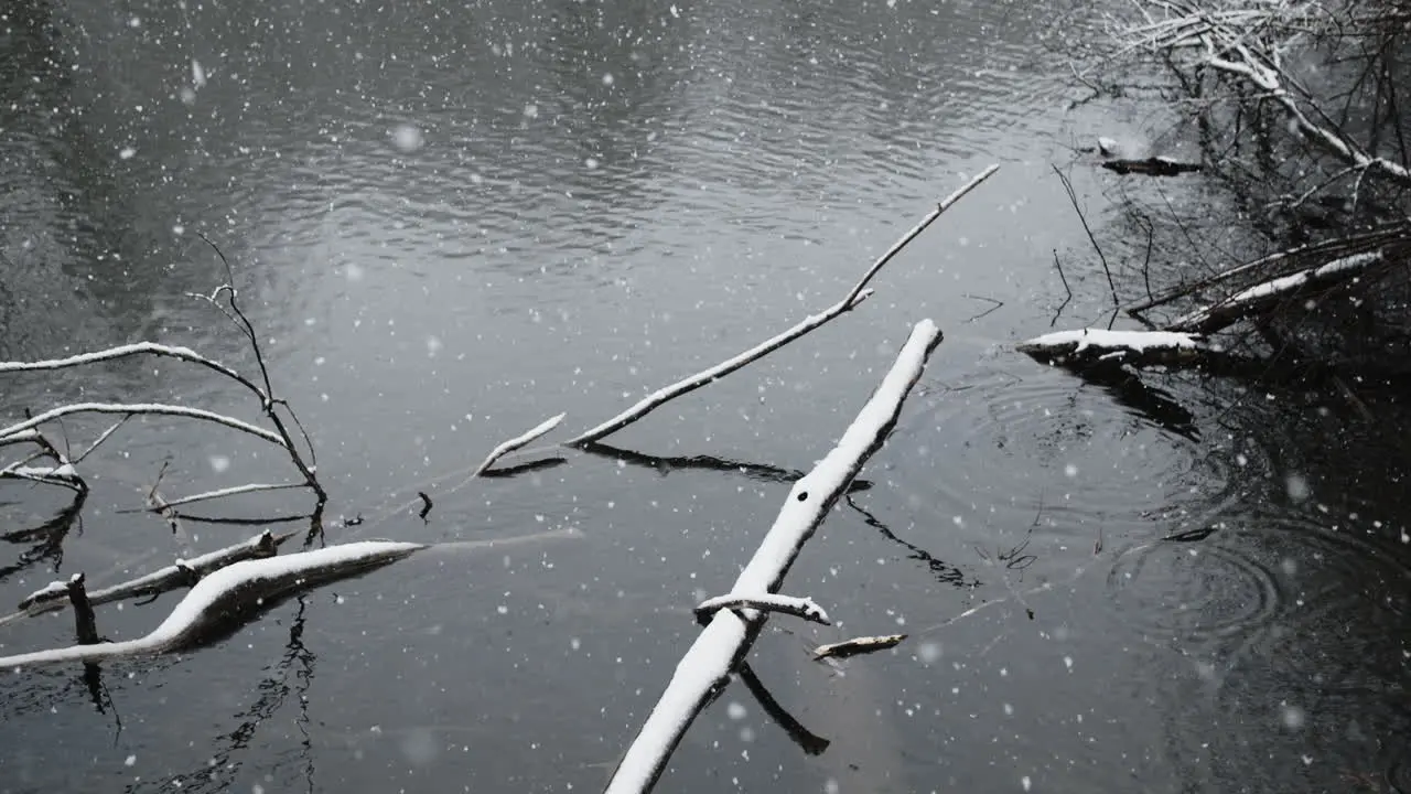 Snow falling into river onto logs in slow motion