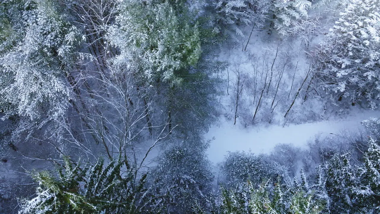 A drone's-eye view captures the snowy landscape of a Midwest forest after a significant blizzard