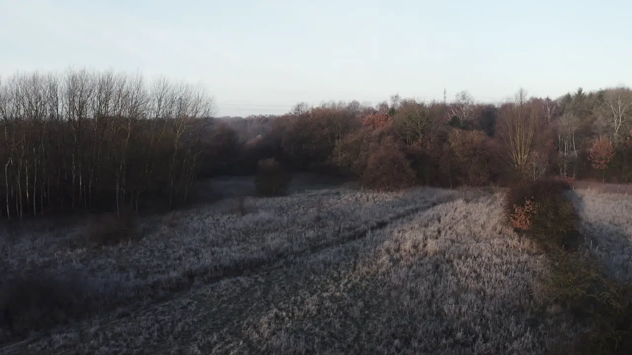 early morning winter landscape with a pathway and trees and frost-covered bushes