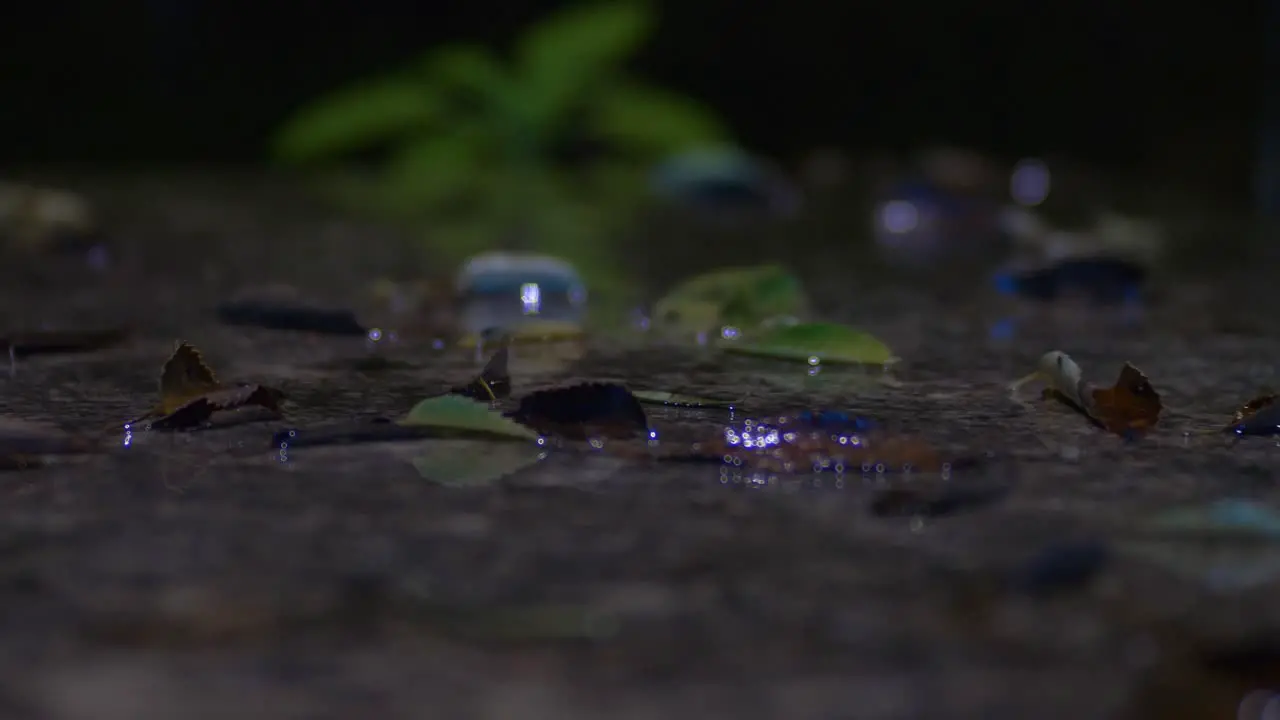 Closeup Of Heavy Rain Falling On The Concrete Ground With Fallen Leaves