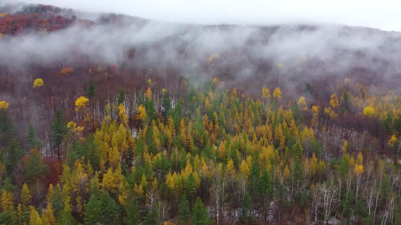 Natural autumn fog in mountainous landscape at Mount Washington New Hampshire USA