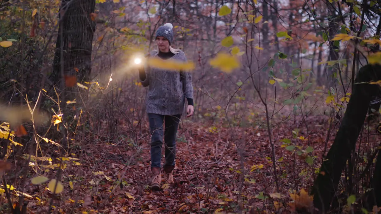 A Woman With A Flashlight Is Walking Through A Dark Forest Looking For Something Search For The Miss