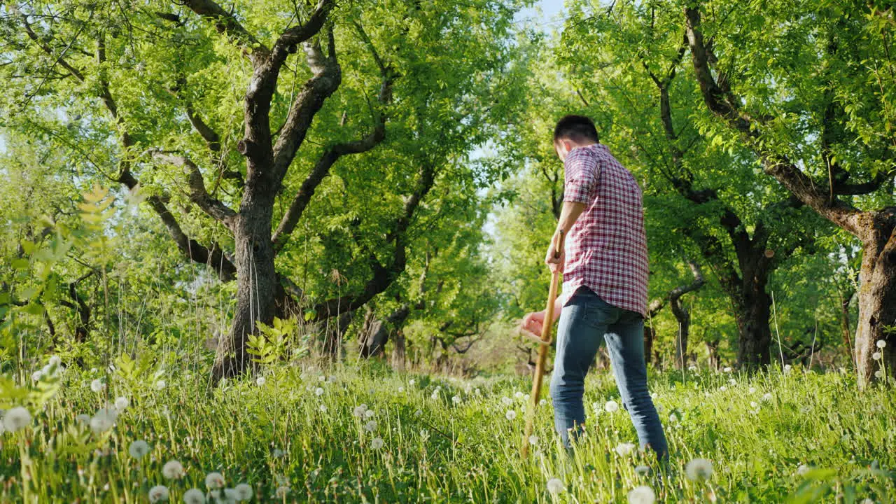 A Young Farmer Mows The Grass In An Apple Garden Organic Agriculture And Handicraft Concept 4K Video