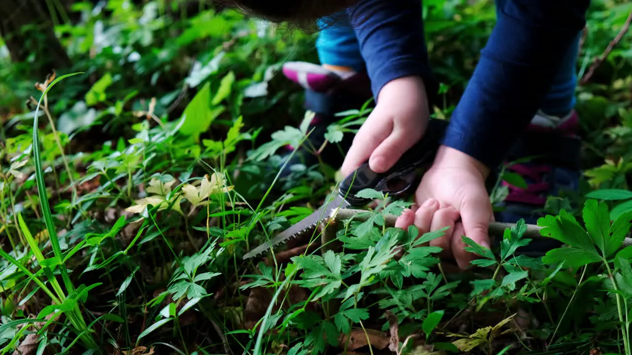 Hands of a little girl or boy using a Swiss knife sawing a piece of wood in the forest nobody-3