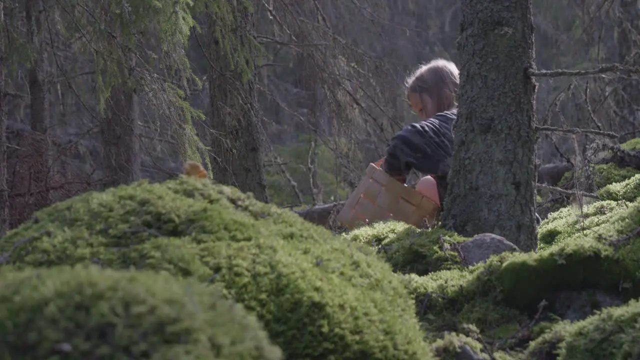 Young Blonde Girl Picking Mushrooms in Mossy enchanted Forest Tele Shot