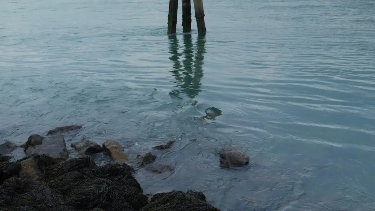 Seawater hits rocks and posts on a calm day in the harbour