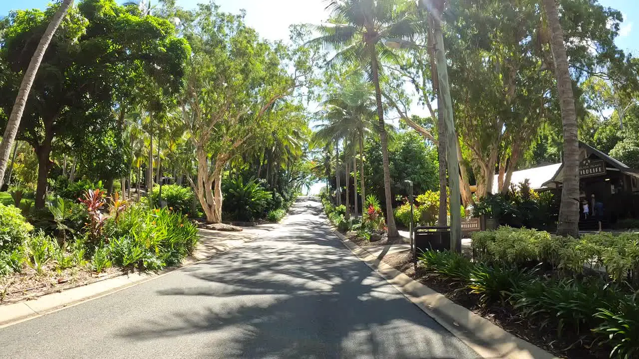 Driving on Hamilton Island Australia north Queensland with the buggy on narrow street going past palm streets with sun shining through trees tropical hot weather