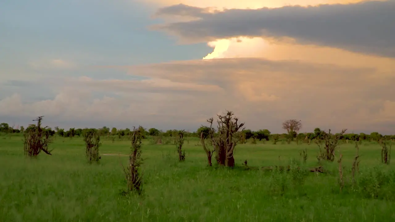 Beautiful sunset and large weather front in the African savanna Botswana