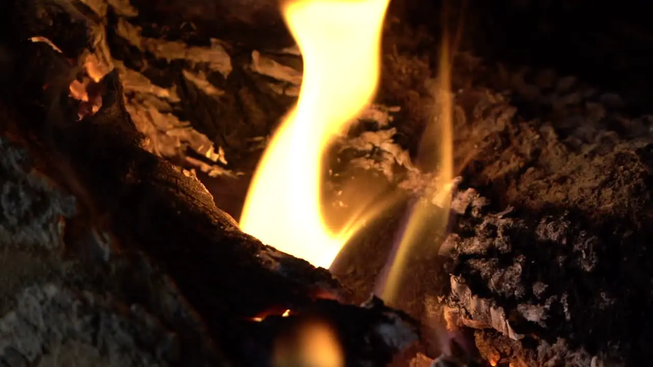 Static Slow Motion Fire Burning Reversed