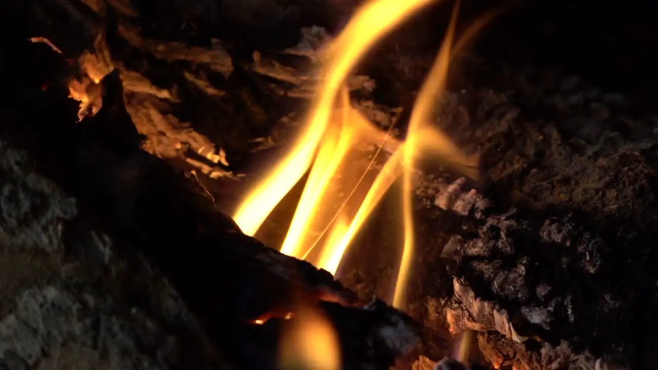 Static slow-motion Fire Burning in Fireplace