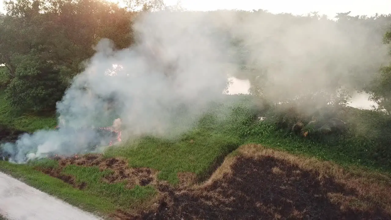 Burning at green field during sunset hour