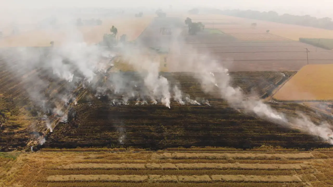 Aerial view of the burnt farm land